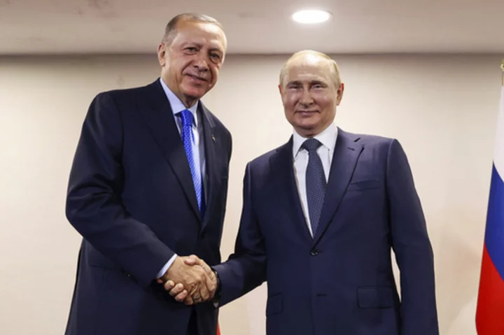 What's at stake when Turkey's leader meets Putin in a bid to reestablish the Black Sea grain deal