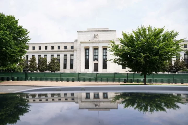 Global central banks post losses on reserves in 2022; no quick recovery seen -survey