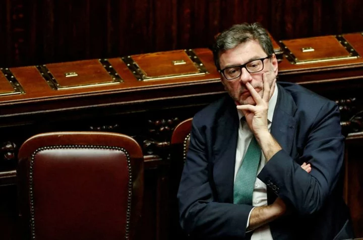 Italy wants more public debt in domestic hands -economy minister