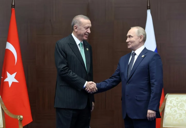 Erdogan to push Putin on grain deal in Russia