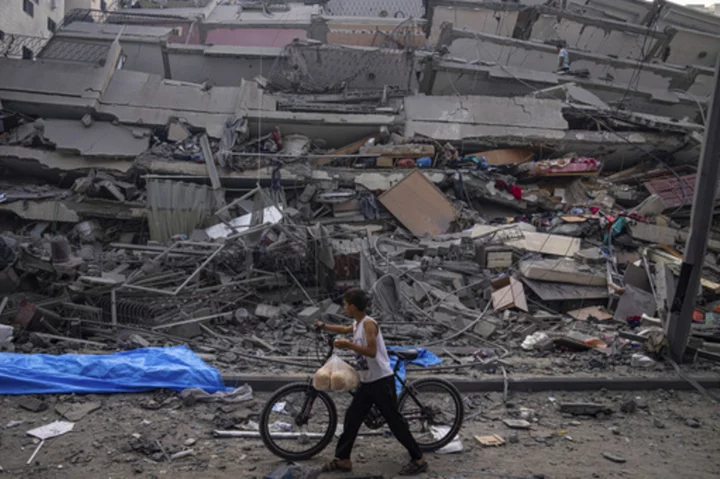Stark UN report on devastation to Palestinian economy shows GDP fell 4% after a month of war