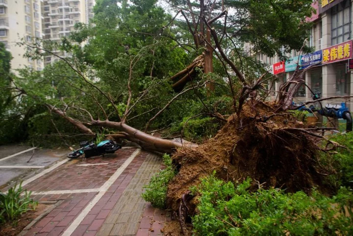 China's July economic losses from disasters exceed January-June