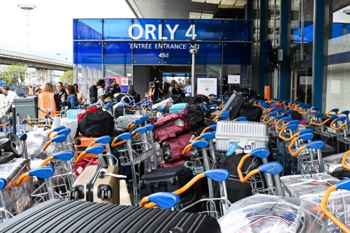 Paris airport pandemonium as bag handler breaks
