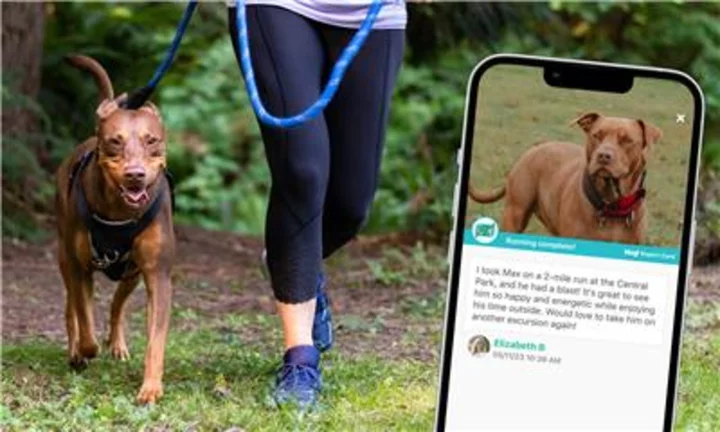 Wag! Unleashes Specialty Services: Empowering Pet Caregivers to Offer Customized Stand-Alone or Add-On Pet Care Experiences