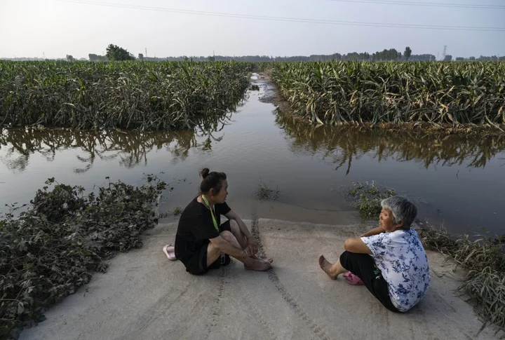 China’s Corn Harvest Escapes Worst of Typhoon Flood Devastation