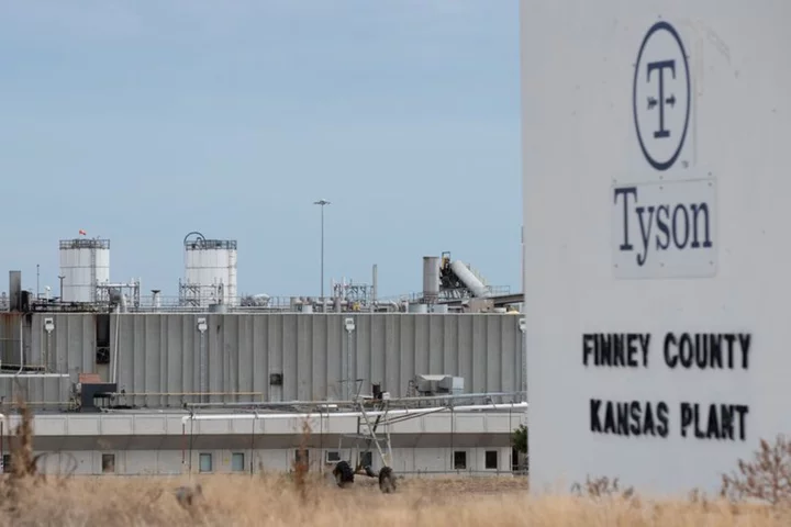 Tyson Foods to shut four more US chicken plants