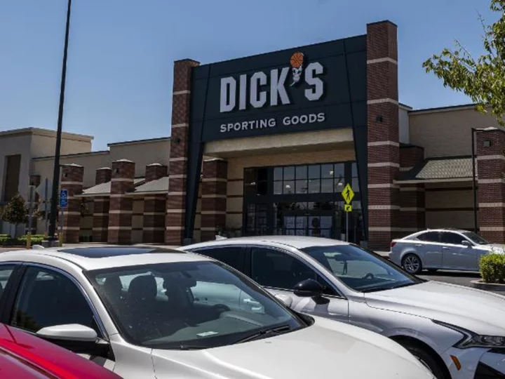 Dick's Sporting Goods blames 'increasingly serious' theft problem for profit plunge