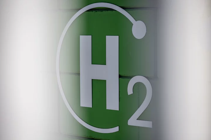 Total Plans Jumbo Green Hydrogen Tender to Cut Emissions