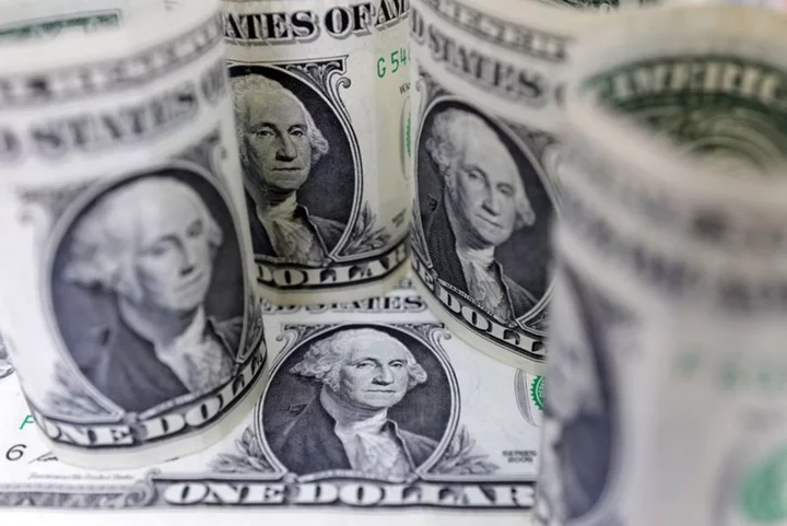 Dollar holds near 6-month peak on global growth fears, fragile yen draws warning