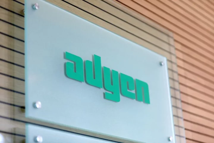 Payments company Adyen's shares plummet after earnings miss