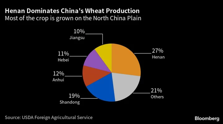 Heavy Rains Threaten China’s Wheat Supply for Buns and Noodles