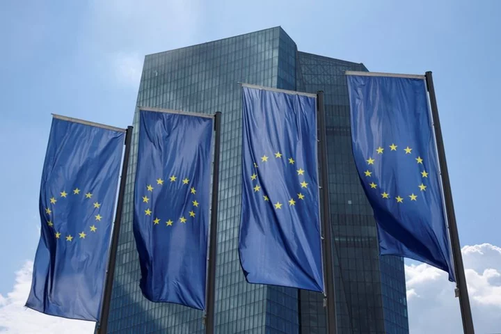 ECB holds rates, signals steady hand as economy stumbles