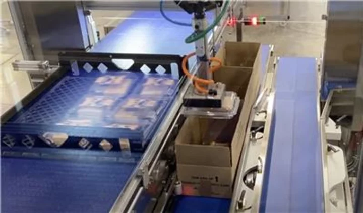 Introducing ValTara SRL's PKR-Dual Delta Robot Cell: Revolutionizing Case Packing with Compact and Modular Design