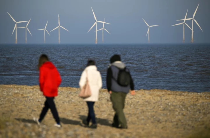 No offshore wind in latest UK green energy auction
