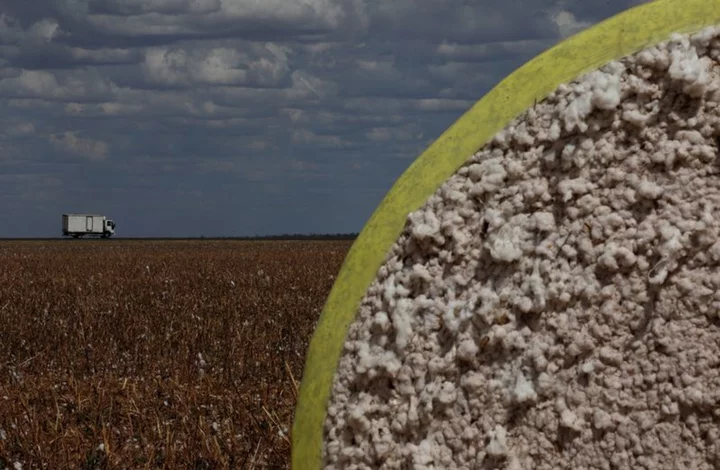 Sustainable cotton group boosts tracking for top retailers