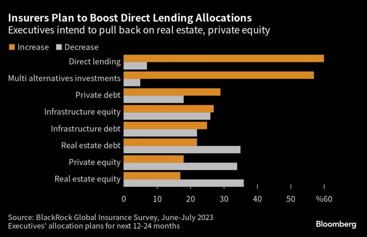 BlackRock Sees Insurers Betting on Credit, Paring Private Equity