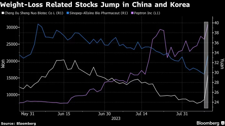 Asian Pharmaceutical Stocks Get Lift From Weight-Loss Drug Hype