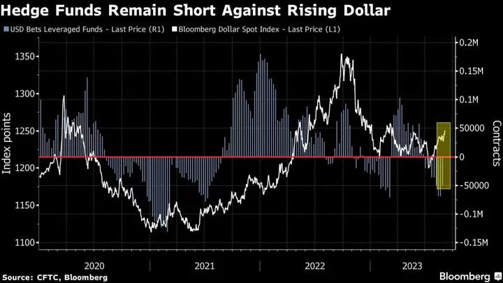 Hedge Funds Say It’s Too Risky to Short Dollar on US Rates Hazard