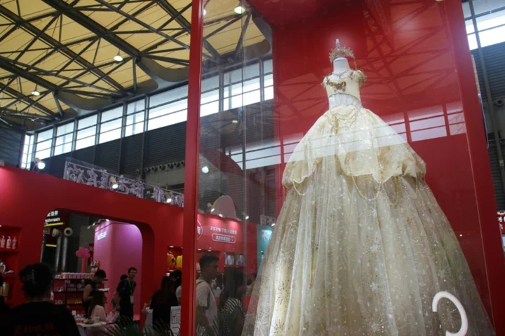 Ballgowns, surveillance and cloning for sale at China pet fair