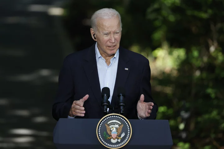 Biden Names Long-Serving Union Official as Top Labor Adviser
