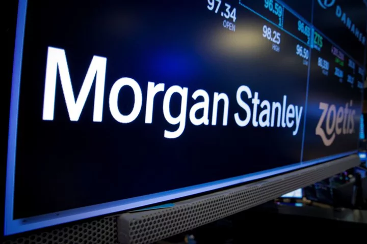 Morgan Stanley strategists tout health stocks in 