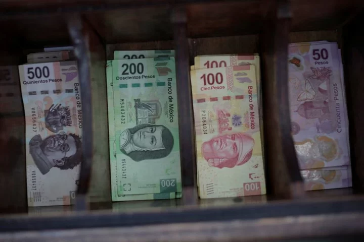 Mexican peso to stay strong despite end of cenbank tightening cycle - analysts