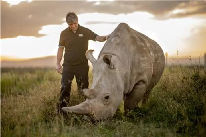Colossal Biosciences Joins BioRescue in Its Mission to Save the Northern White Rhino From Extinction