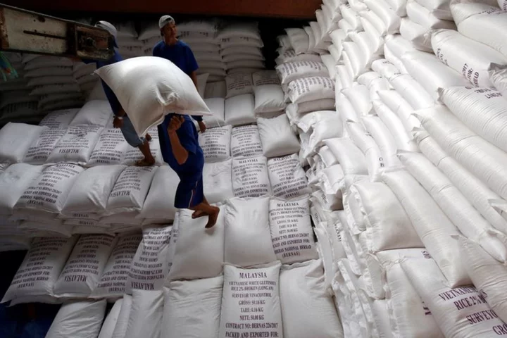 Exclusive-Vietnamese exporters renegotiate higher rice prices after Indian ban -traders