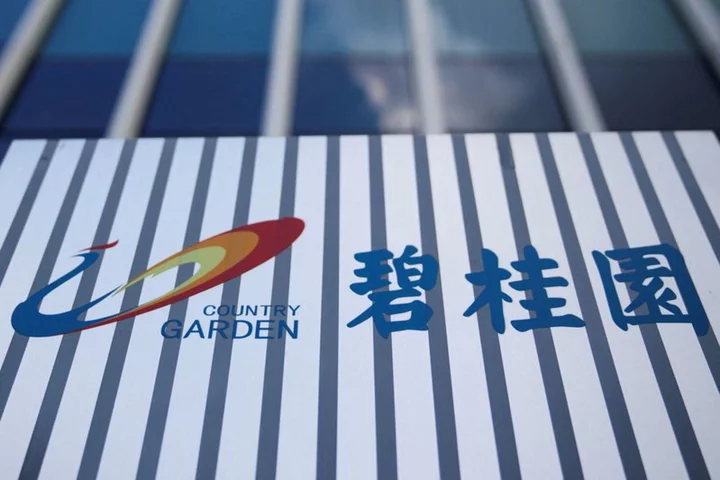Country Garden seeks to add 40-day grace period to onshore bond repayment