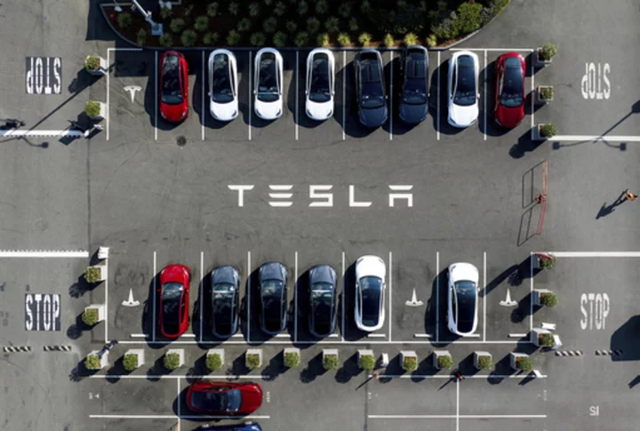 Tesla sues Swedish agency as striking workers halt delivery of license plates of its new vehicles