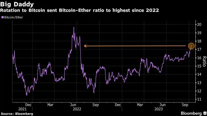 Bitcoin Tightens Grip on Crypto Market in Sign of Cautious Investor Mood