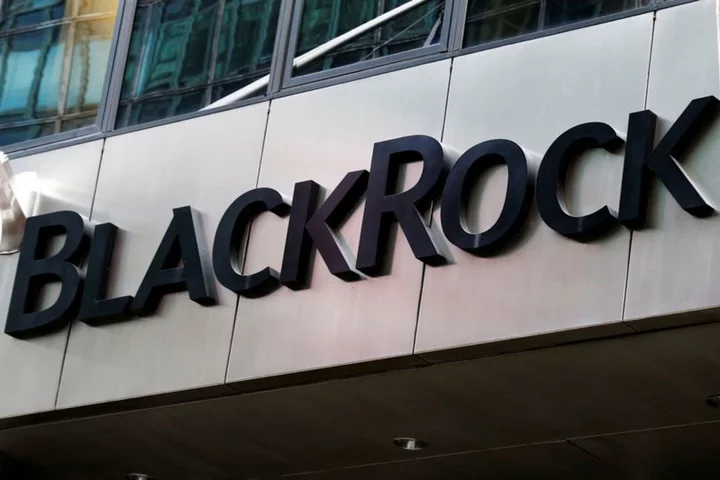 BlackRock Investment Institute sees AI as major driver of equity returns