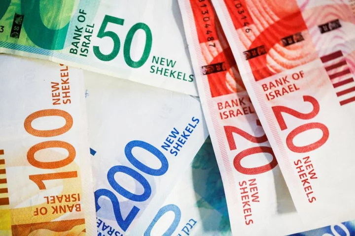 Israeli shekel falls to almost 8-year low