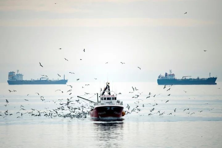 EU looks to boost boat tracking to fight overfishing