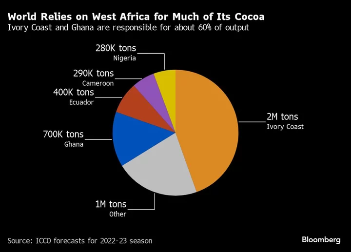 How a Climate Crisis Is Making Chocolate More Expensive