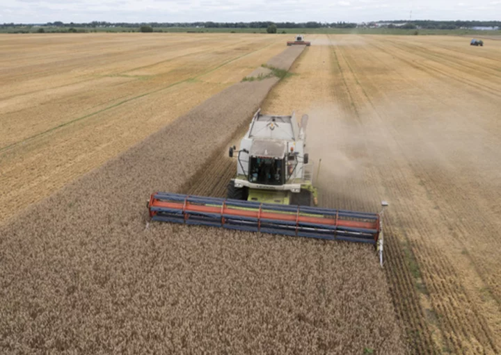 Russia's threat to pull out of Ukraine grain deal raises fears about global food security