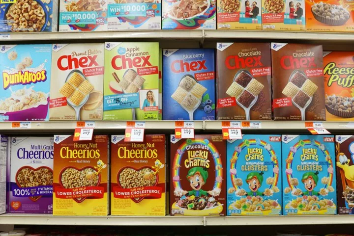 General Mills forecasts dour profit as price hikes slow demand