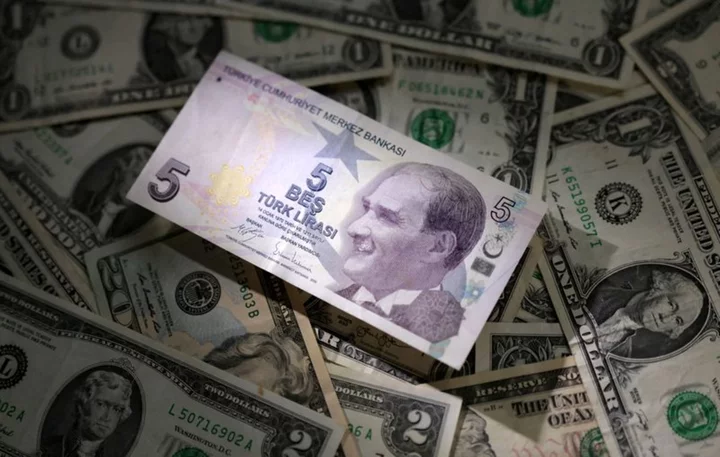 Turkish lira slips despite appointment of well-regarded finance minister