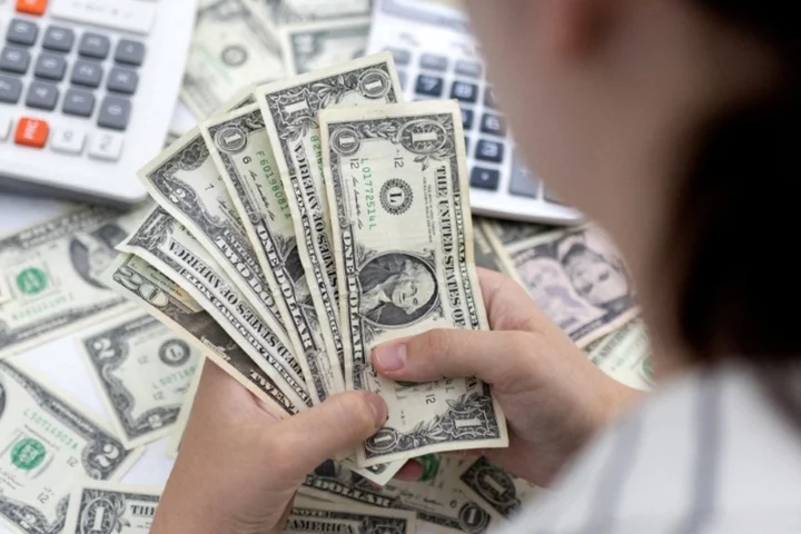 Column-Funds slash bullish dollar bets in half: McGeever