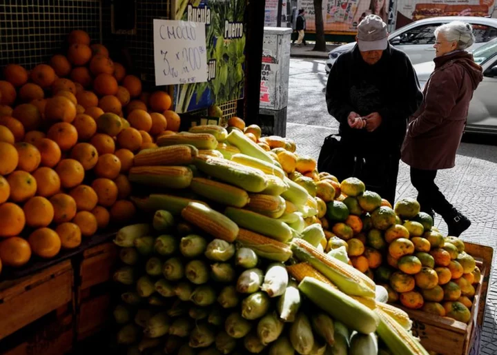 Argentina's monthly inflation rate seen slowing to 7% in June