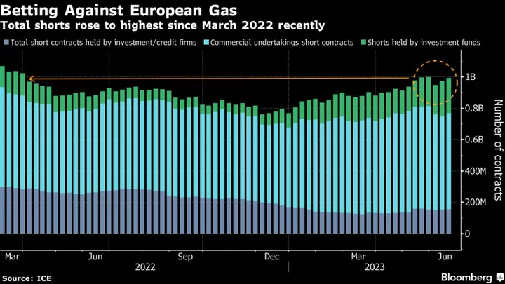 Traders Rushing to Undo Massive Bets Whipsaw European Gas Prices