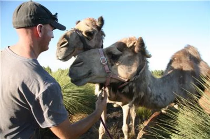 Camel Milk Brand Poised for Global Stage and Seeking Investment