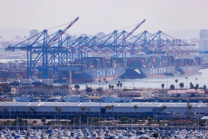 US West Coast ports gained market share in August after labor deal -report