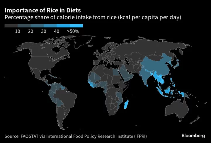 Soaring Rice Prices Stretch Budgets for Billions in Asia, Africa