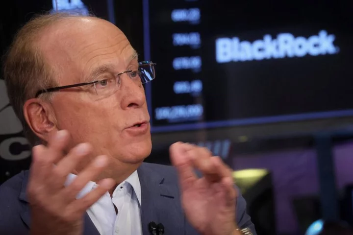 BlackRock CEO Fink trains successors, with no imminent plan to retire -WSJ