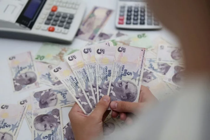 Turkish lira extends losses as Ankara loosens grip on forex market