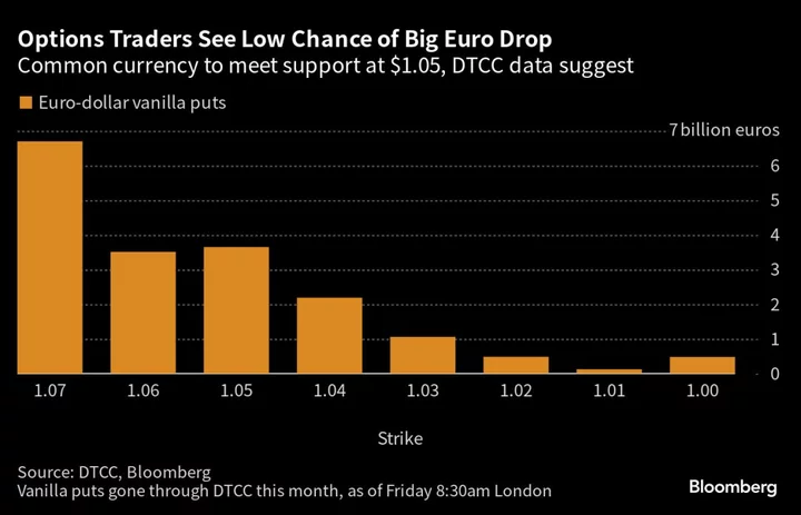 Hedge Funds Ditch Bets on Euro Ahead of ECB
