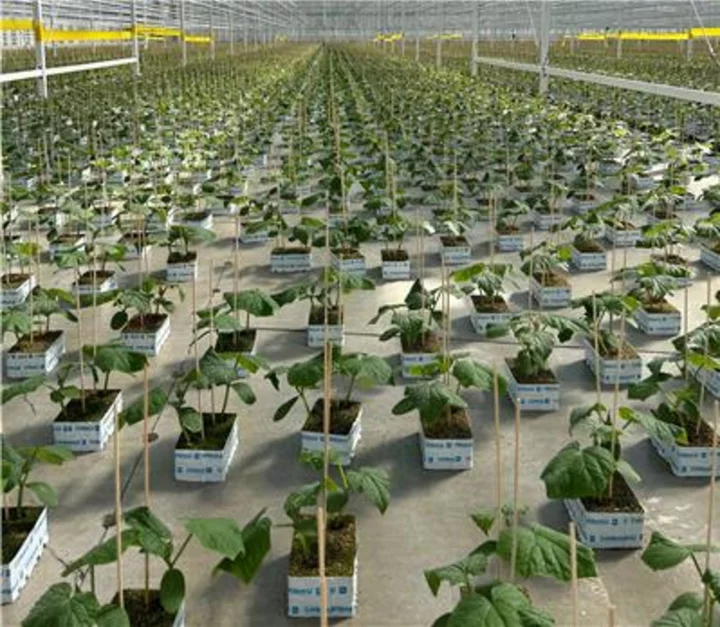 Sollum Dynamic LED Grow Lights Selected by Proplant Propagation