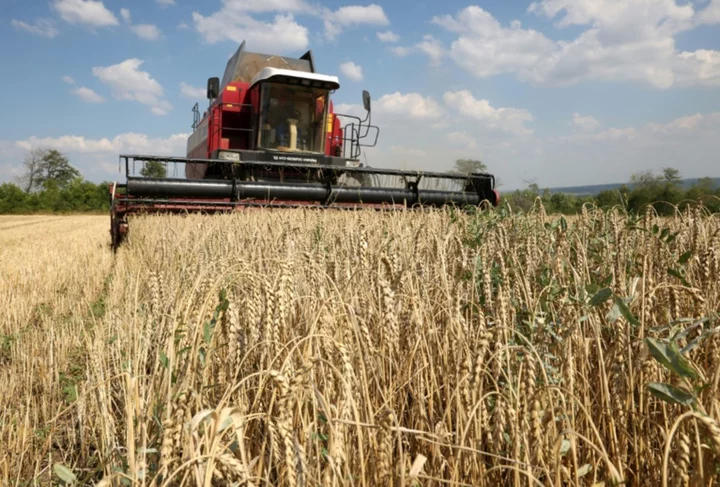 Poland, Hungary, Slovakia defy end of EU Ukraine grain import ban