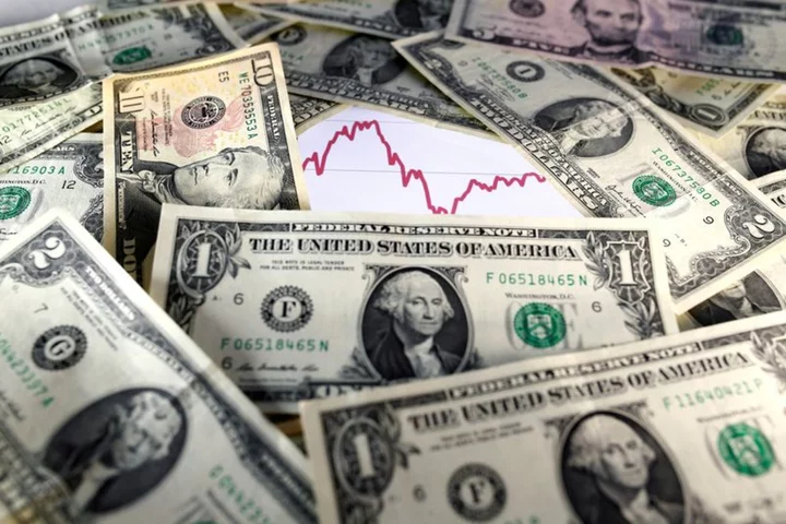 Dollar's strength here to stay; only a rate cut could dent it -FX strategists: Reuters poll